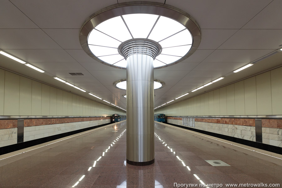 Станция Котельники (Таганско-Краснопресненская линия, Москва). Продольный вид по оси станции.