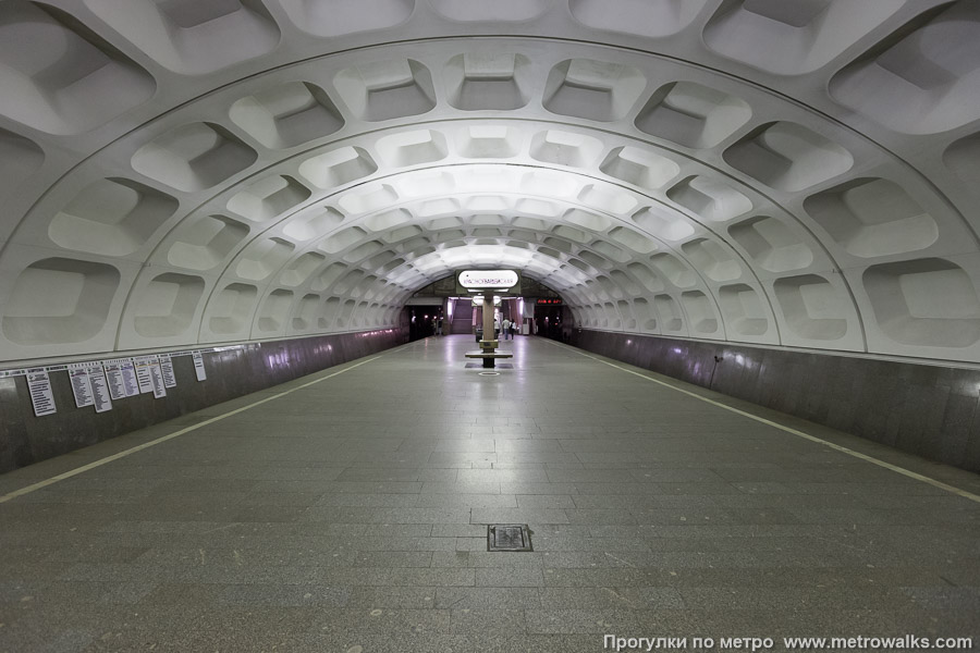 Станция Красногвардейская (Замоскворецкая линия, Москва). Продольный вид по оси станции.