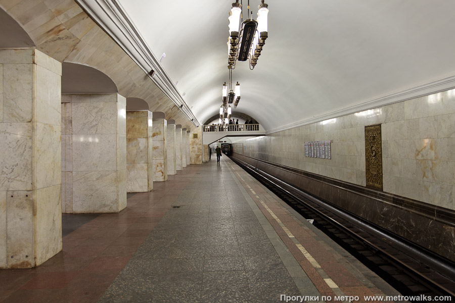 Станция Курская (Кольцевая линия, Москва). Боковой зал станции и посадочная платформа, общий вид.