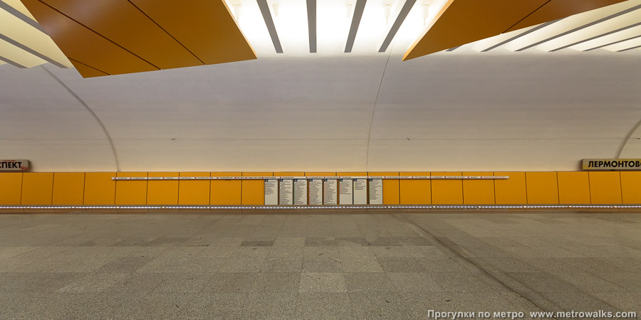 Станция Лермонтовский проспект (Таганско-Краснопресненская линия, Москва). Поперечный вид. А середина станции — жёлтая.