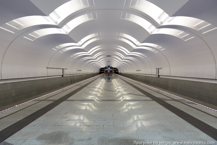 Станция Лесопарковая (Бутовская линия, Москва). Общий вид по оси станции от входа в сторону глухого торца.