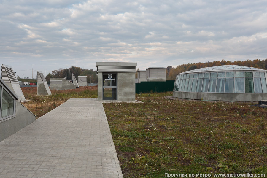 Станция Лесопарковая (Бутовская линия, Москва). На станцию можно спуститься на лифте прямо с улицы.