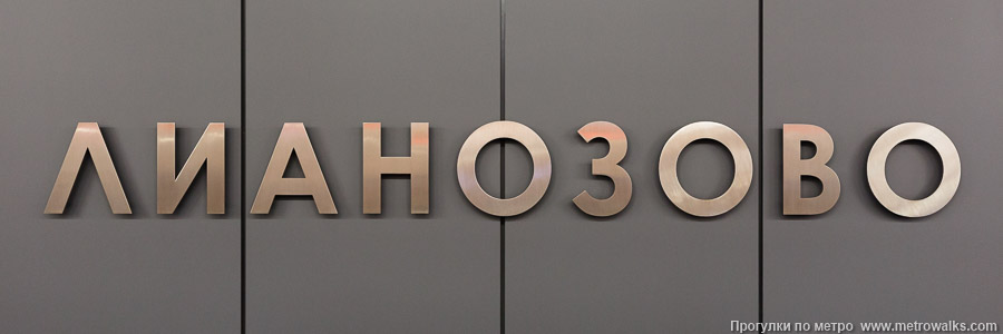Станция Лианозово (Люблинско-Дмитровская линия, Москва). Название станции на путевой стене крупным планом.