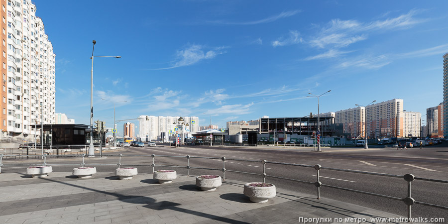 Станция Некрасовка (Некрасовская линия, Москва). Общий вид окрестностей станции.