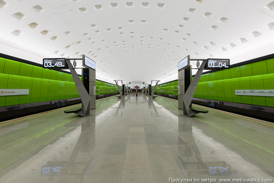 Станция Новомосковская (Троицкая линия, Москва). Общий вид по оси станции от входа в сторону глухого торца.