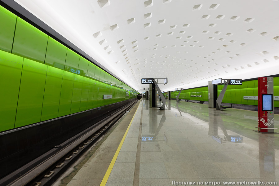 Станция Новомосковская (Троицкая линия, Москва). Край платформы, общий вид.