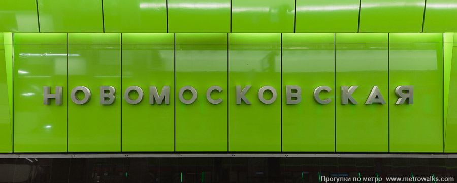 Станция Новомосковская (Троицкая линия, Москва). Название станции на путевой стене крупным планом.