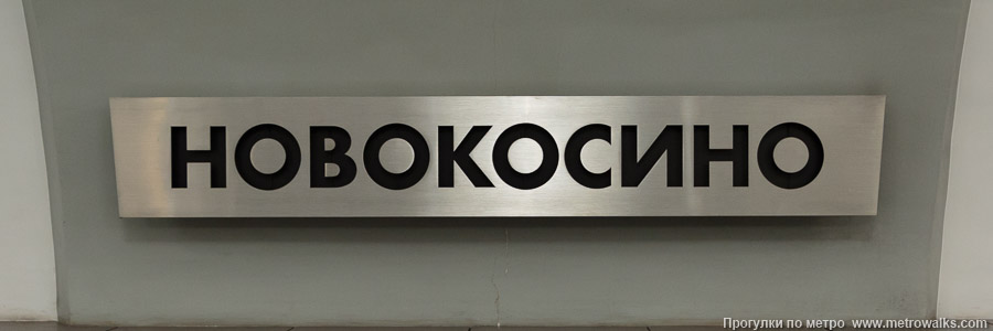 Станция Новокосино (Калининская линия, Москва). Название станции на путевой стене крупным планом.