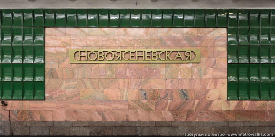 Станция Новоясеневская (Калужско-Рижская линия, Москва). Путевая стена.