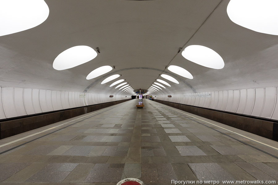 Станция Отрадное (Серпуховско-Тимирязевская линия, Москва). Продольный вид по оси станции.