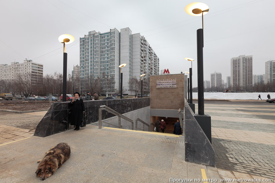 Станция Шипиловская (Люблинско-Дмитровская линия, Москва). Вход на станцию осуществляется через подземный переход. Собаки говорят, что спуск оборудован подогревом.