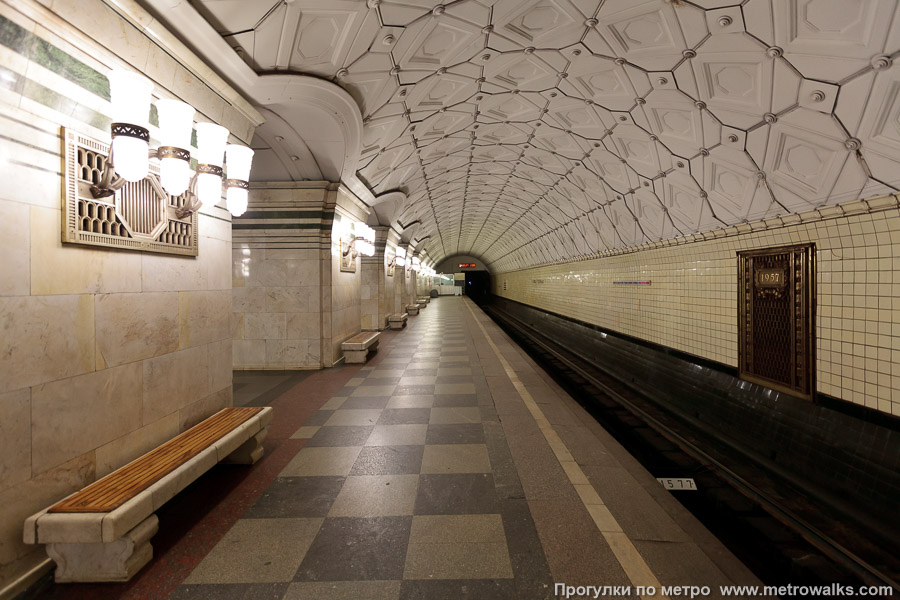 Станция Спортивная (Сокольническая линия, Москва). Боковой зал станции и посадочная платформа, общий вид.