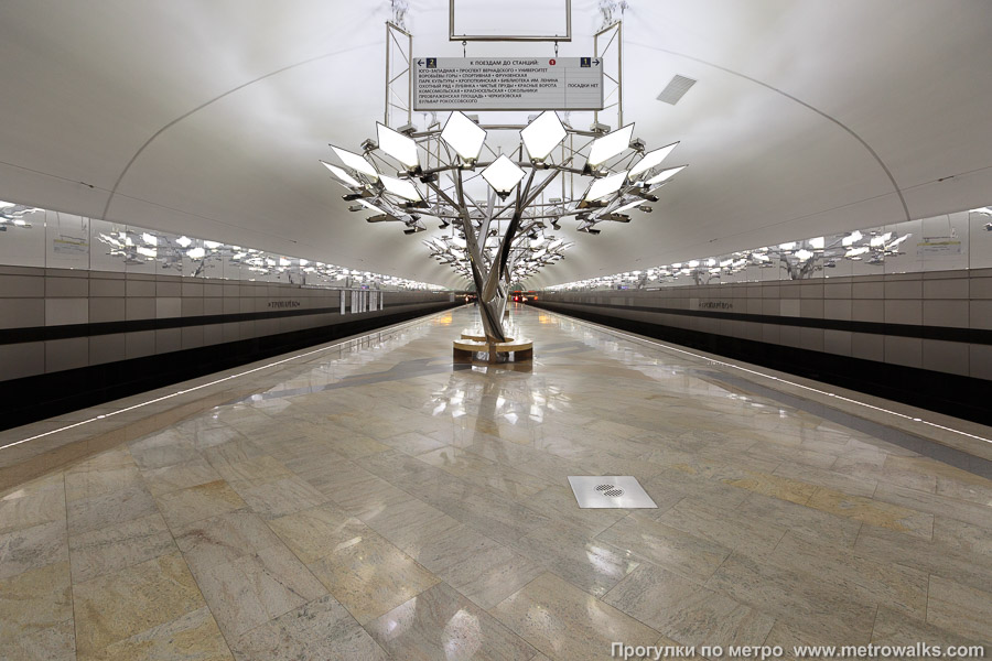 Станция Тропарёво (Сокольническая линия, Москва). Продольный вид по оси станции.