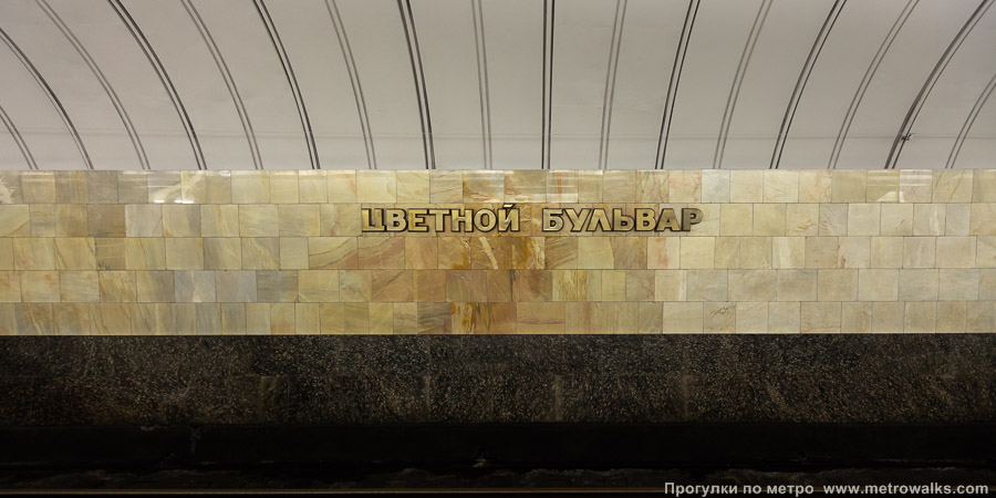 Станция Цветной бульвар (Серпуховско-Тимирязевская линия, Москва). Путевая стена.