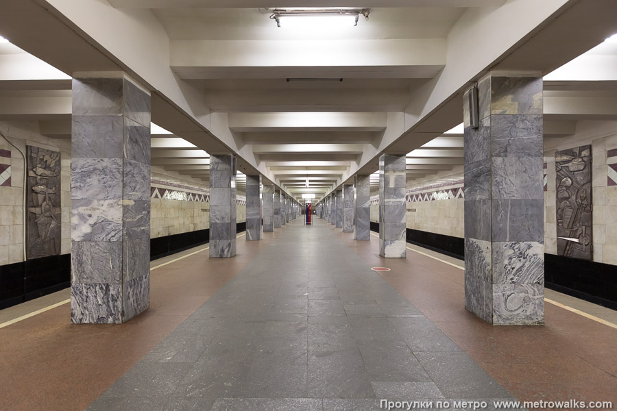 Станция Тушинская (Таганско-Краснопресненская линия, Москва). Продольный вид центрального зала.