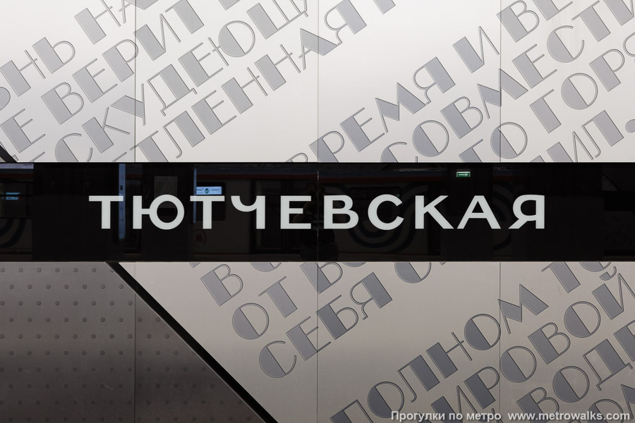 Станция Тютчевская (Троицкая линия, Москва). Название станции на путевой стене крупным планом.