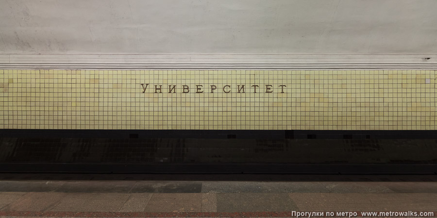 Станция Университет (Сокольническая линия, Москва). Путевая стена.