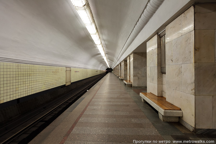 Станция Университет (Сокольническая линия, Москва). Боковой зал станции и посадочная платформа, общий вид.