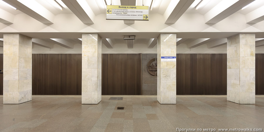 Станция Владыкино (Серпуховско-Тимирязевская линия, Москва). Поперечный вид, проходы между колоннами из центрального зала на платформу.