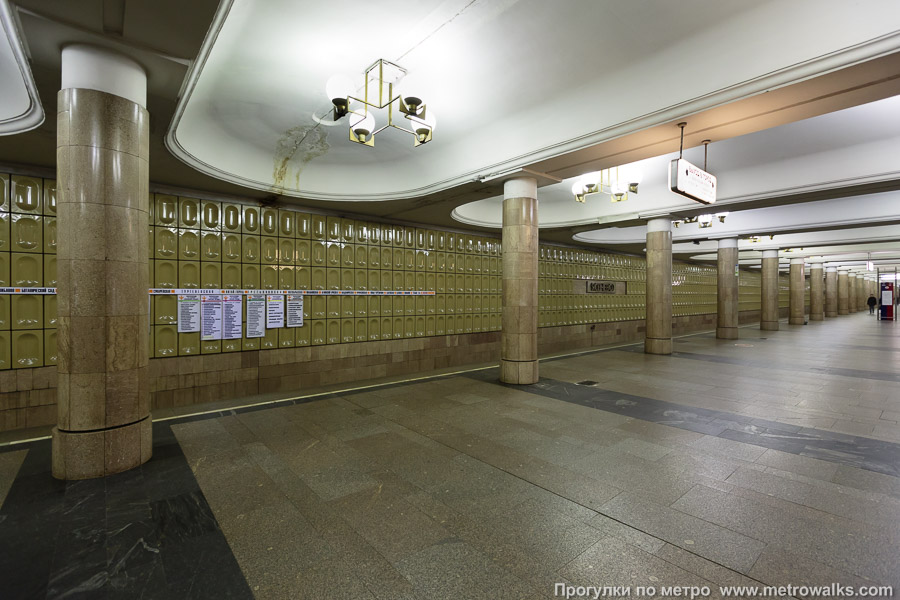 Станция Ясенево (Калужско-Рижская линия, Москва). Вид по диагонали.