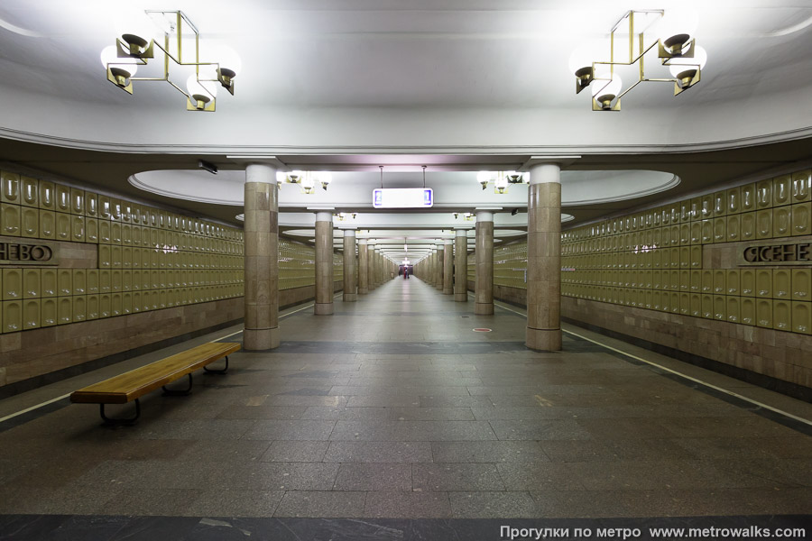 Станция Ясенево (Калужско-Рижская линия, Москва). Продольный вид центрального зала.