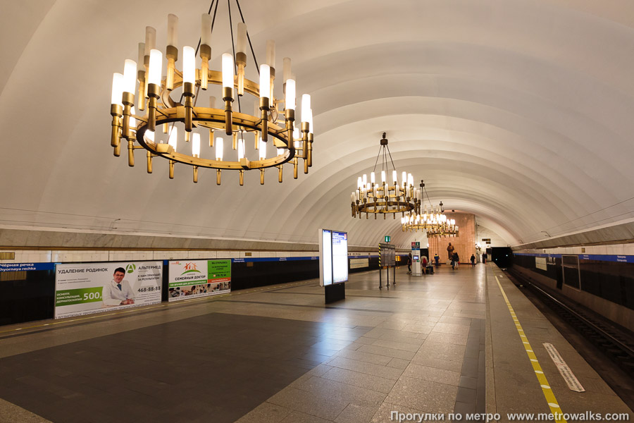Станция Чёрная речка (Московско-Петроградская линия, Санкт-Петербург). Вид по диагонали.