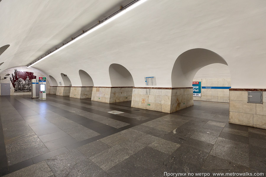 Станция Фрунзенская (Московско-Петроградская линия, Санкт-Петербург). Вид по диагонали.