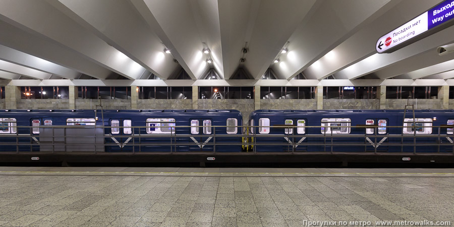 Станция Рыбацкое (Невско-Василеостровская линия, Санкт-Петербург). Поперечный вид. Для разнообразия — с поездом.