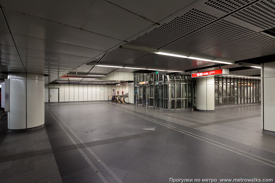 Станция Stephansplatz [Штефансплац] (U3, Вена). Аванзал у выхода в город. Слева — эскалаторы на выход, справа — переход на линию U1, посередине — лифты по всем направлениям.