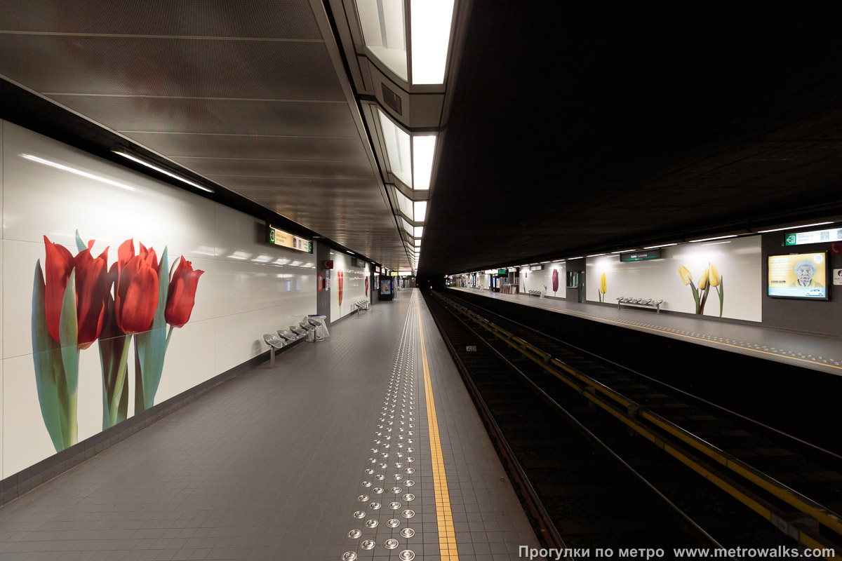 Фотография станции Sainte-Catherine / Sint-Katelijne [Са́нте-Катери́н / Синт-Кателе́йне] (линия 5, Брюссель). Продольный вид вдоль края платформы.