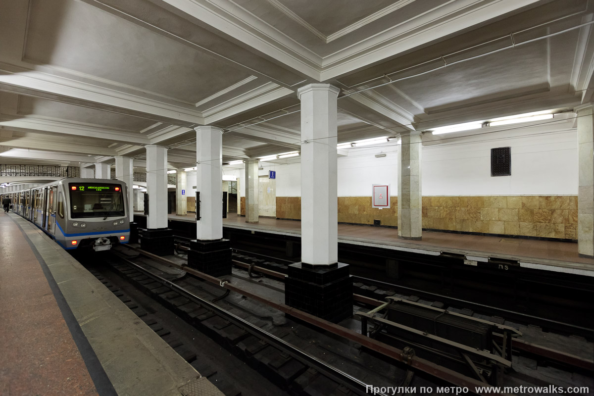 Фотография станции Александровский сад (Филёвская линия, Москва). Вид по диагонали.