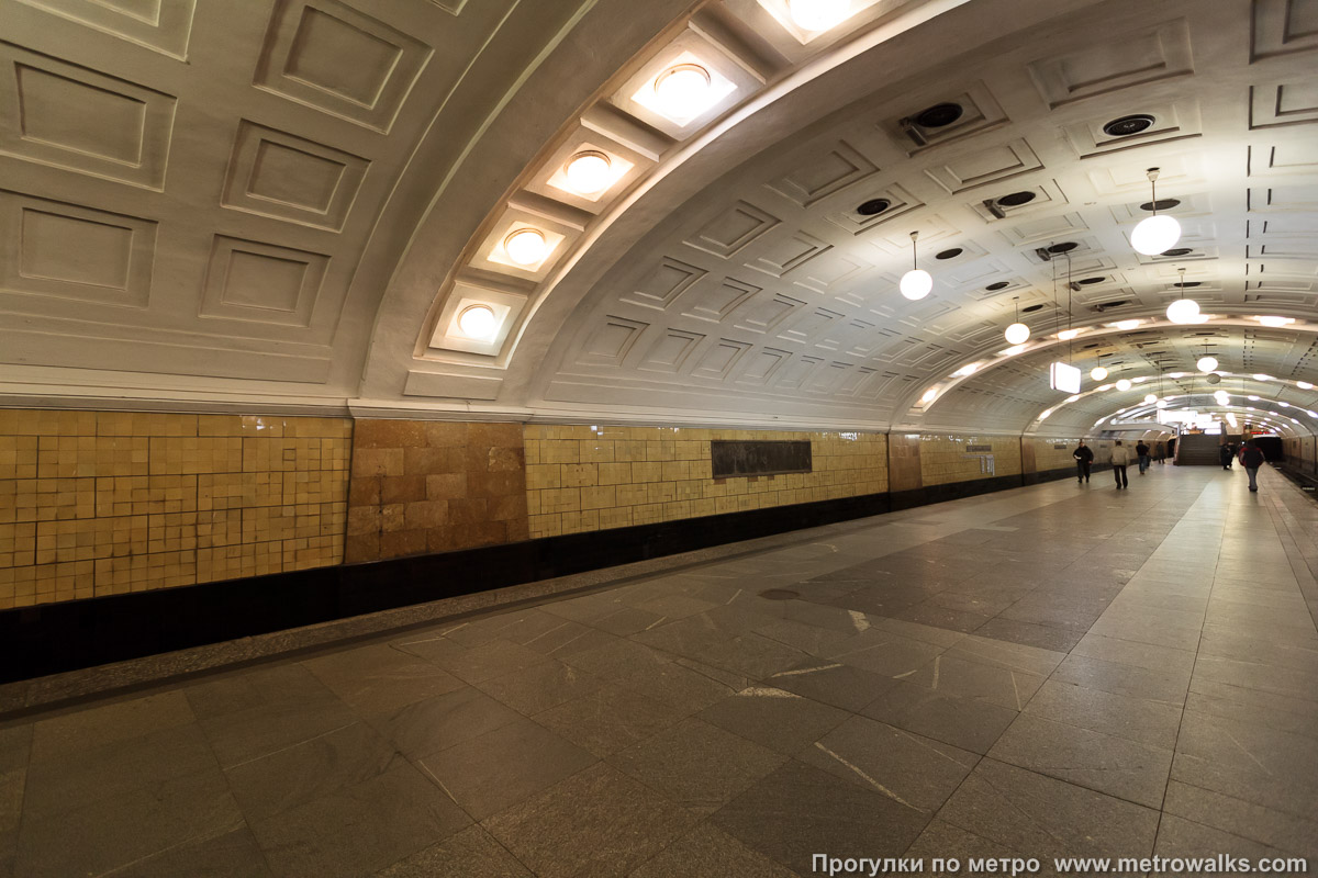Фотография станции Библиотека имени Ленина (Сокольническая линия, Москва). Вид по диагонали.