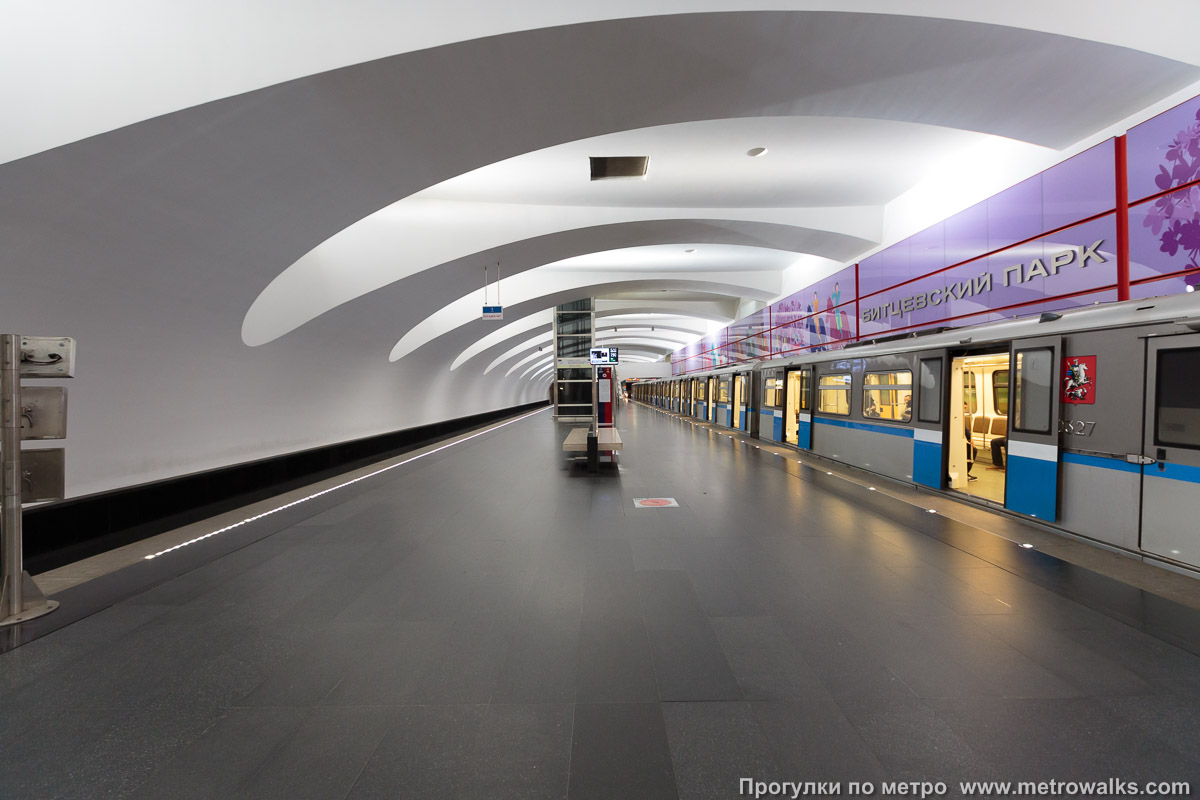 Фотография станции Битцевский парк (Бутовская линия, Москва). Продольный вид по оси станции. Для разнообразия — с поездом.