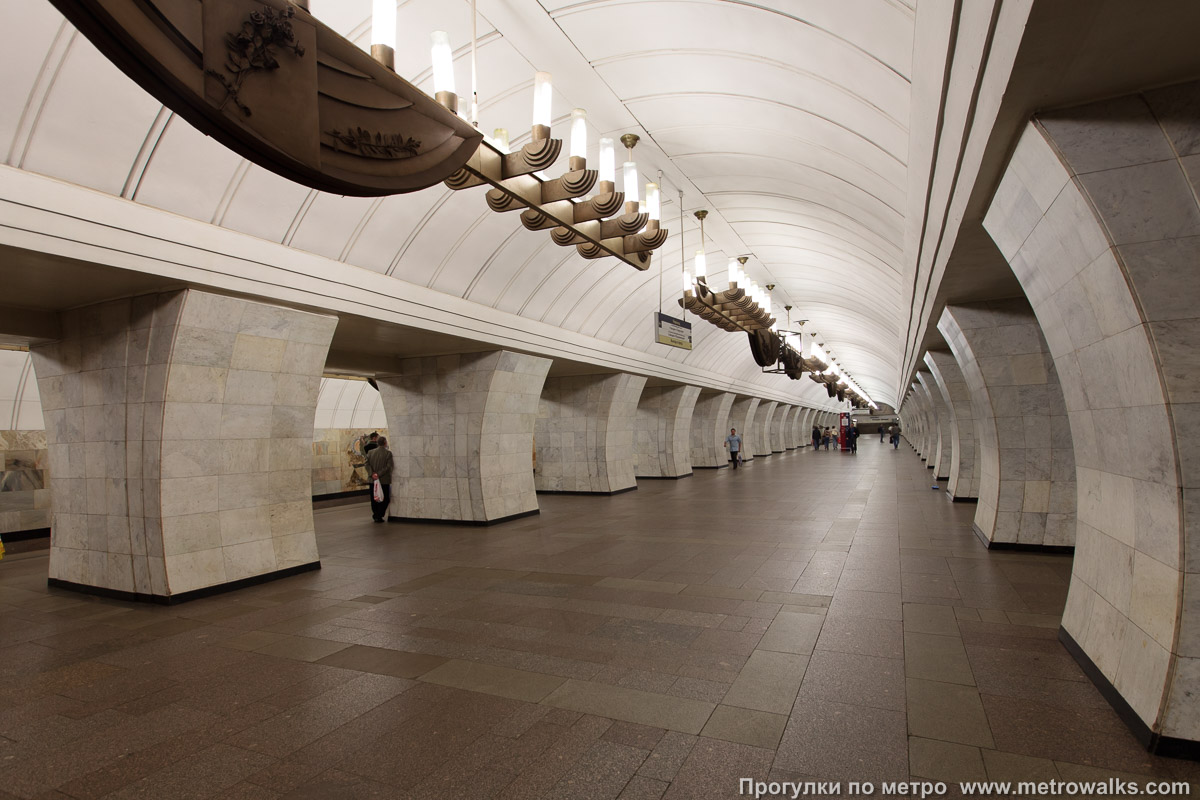 Фотография станции Чеховская (Серпуховско-Тимирязевская линия, Москва). Вид по диагонали.