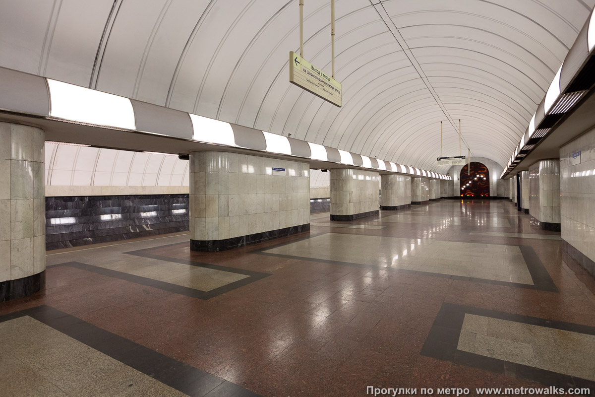 Фотография станции Дубровка (Люблинско-Дмитровская линия, Москва). Вид по диагонали.