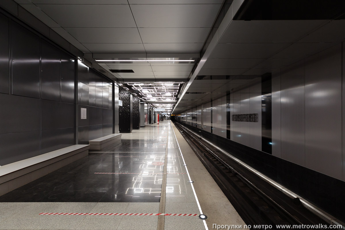 Фотография станции Говорово (Солнцевская линия, Москва). Продольный вид вдоль края платформы. Некоторые участки между колоннами заменены на простенки.