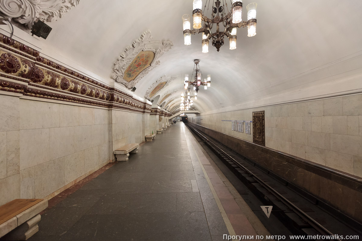 Фотография станции Киевская (Арбатско-Покровская линия, Москва). Боковой зал станции и посадочная платформа, общий вид.