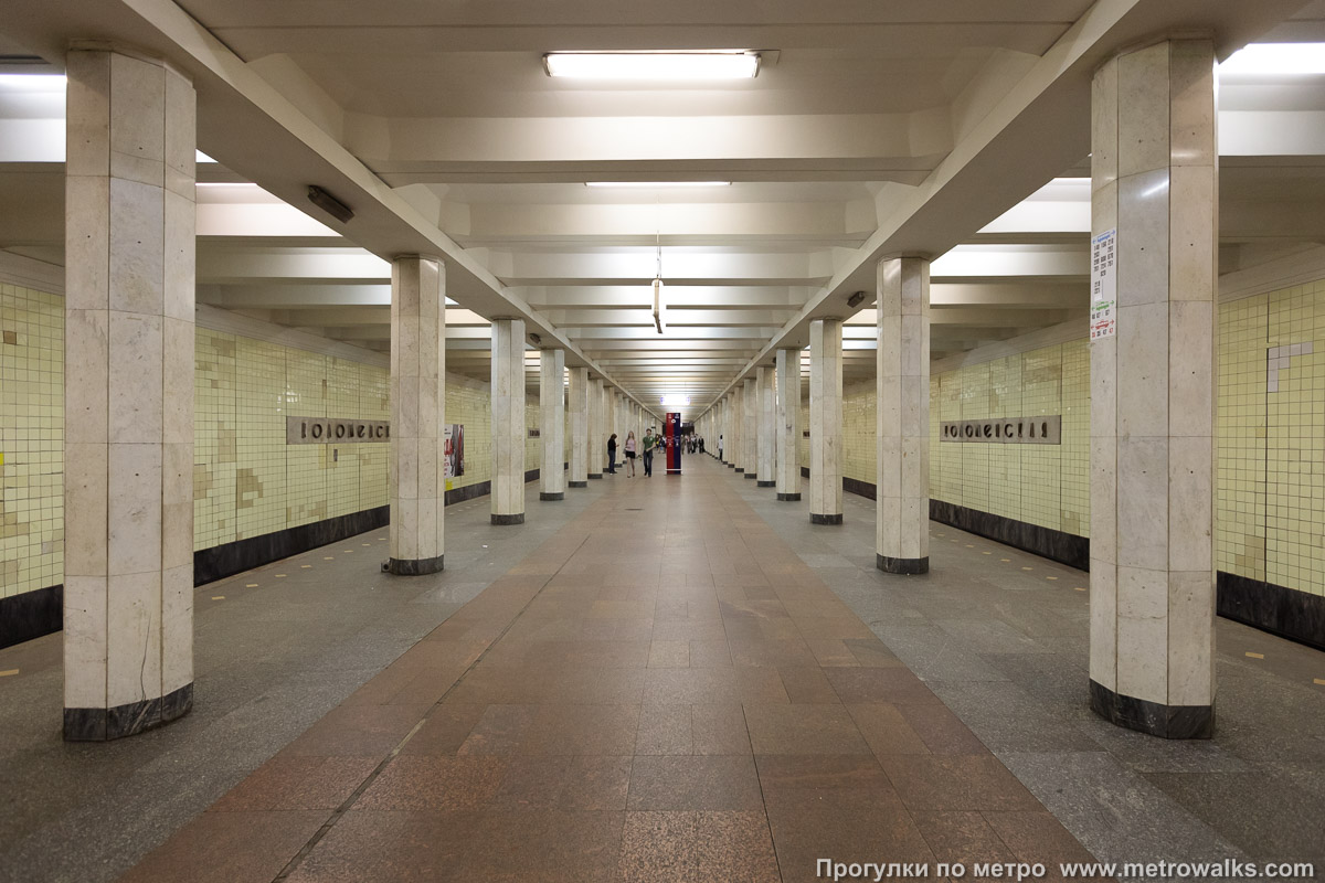 Фотография станции Коломенская (Замоскворецкая линия, Москва). Продольный вид центрального зала.