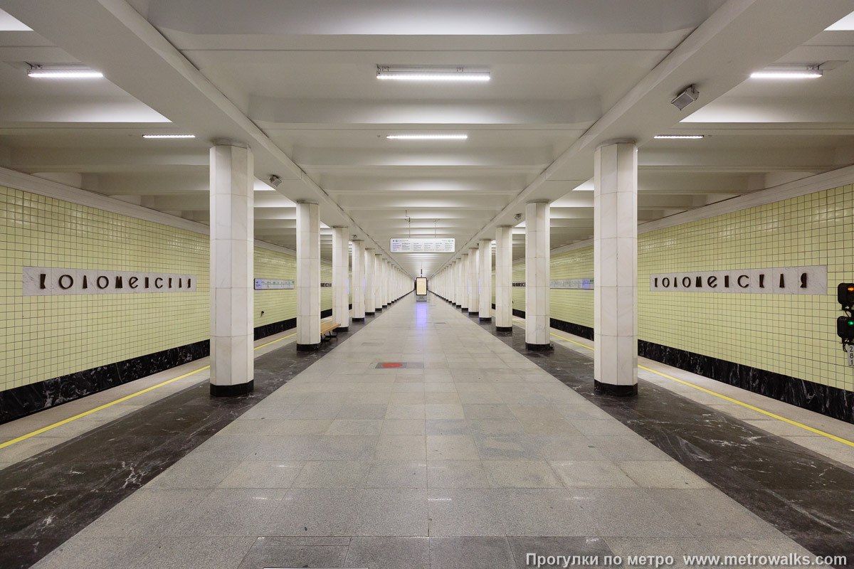 Фотография станции Коломенская (Замоскворецкая линия, Москва). Продольный вид центрального зала. Вид с юга на север (в сторону центра города). Фотография станции Коломенская (Замоскворецкая линия, Москва). Продольный вид центрального зала. Вид с юга на север (в сторону центра города).