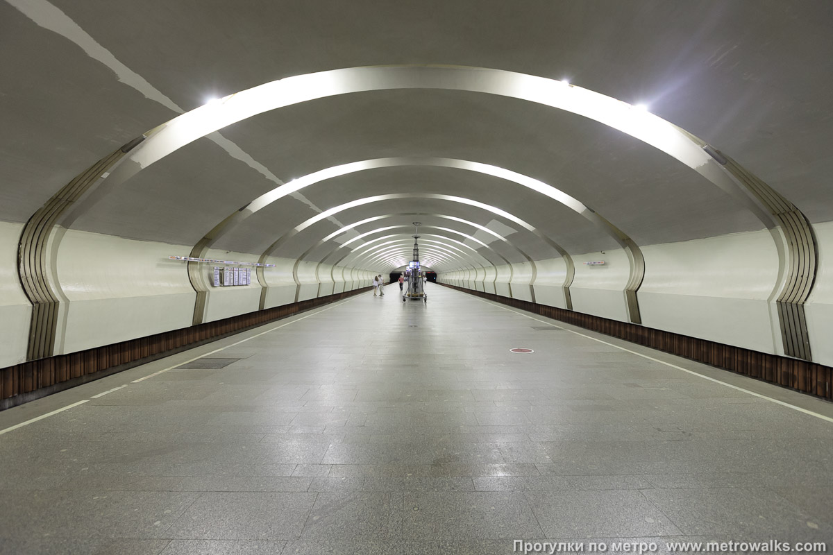 Фотография станции Коньково (Калужско-Рижская линия, Москва). Продольный вид по оси станции.