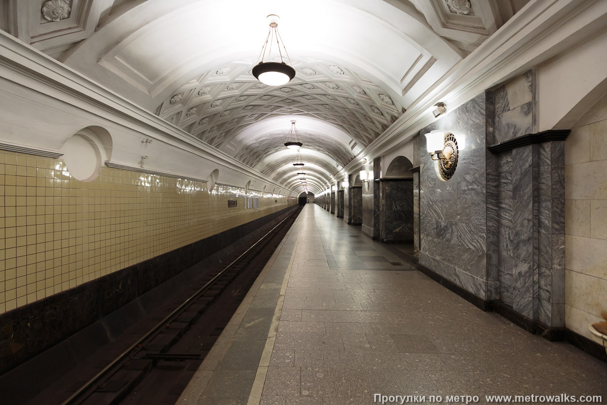 Фотография станции Курская (Арбатско-Покровская линия, Москва). Боковой зал станции и посадочная платформа, общий вид.