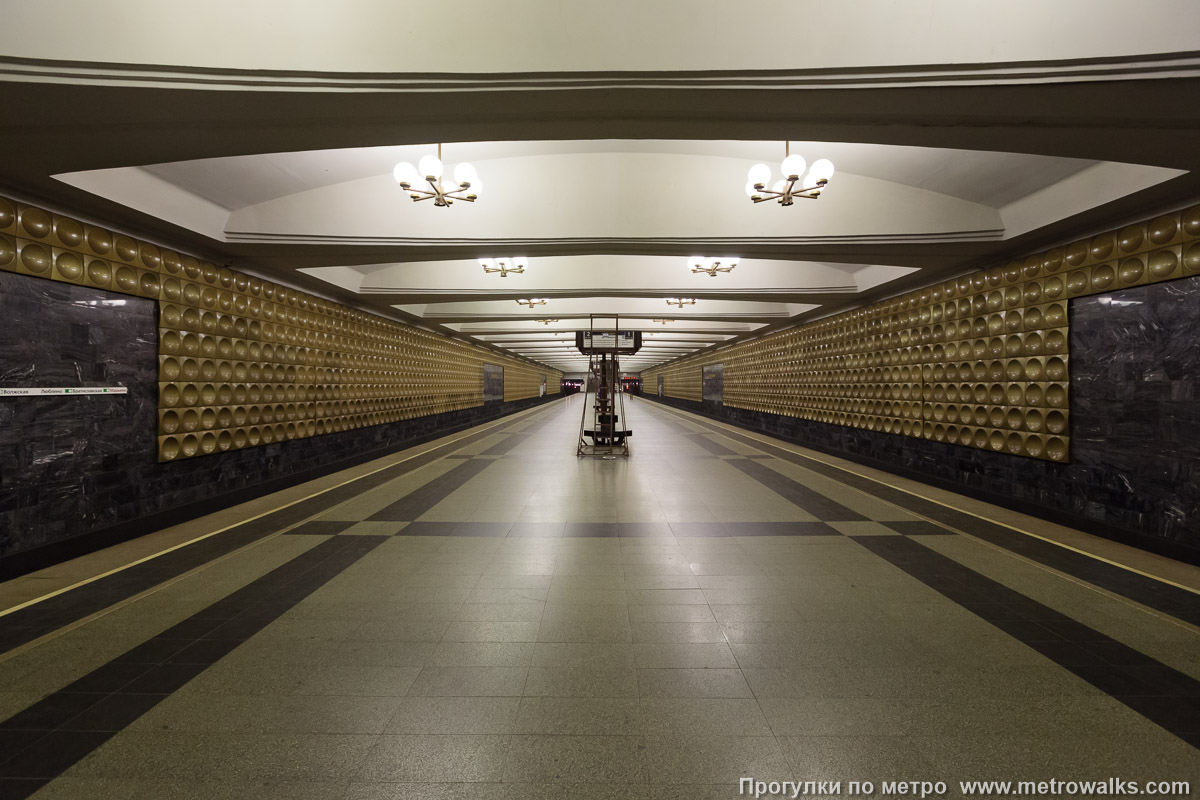 Фотография станции Марьино (Люблинско-Дмитровская линия, Москва). Продольный вид по оси станции.