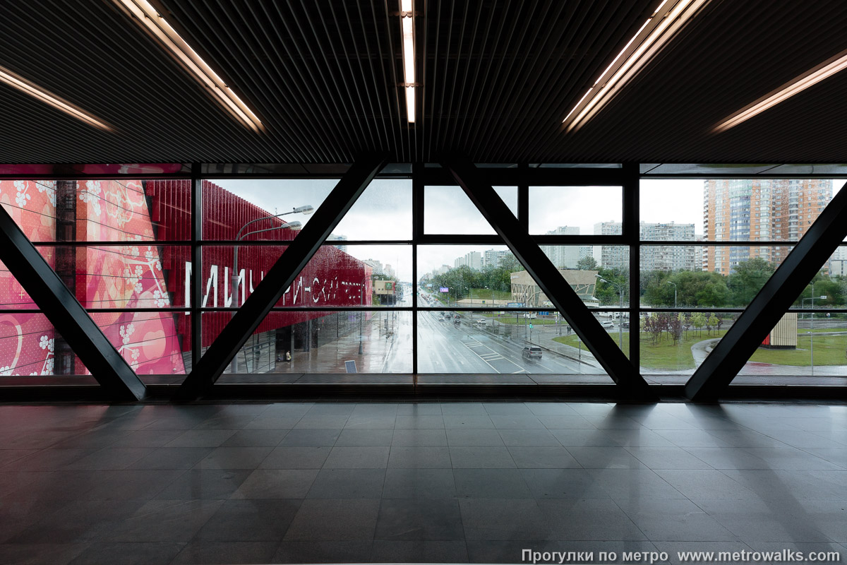 Фотография станции Мичуринский проспект (Большая кольцевая линия, Москва). Через остекление надземного перехода между двумя подземными станциями виден, собственно, Мичуринский проспект. Фотография станции Мичуринский проспект (Большая кольцевая линия, Москва). Через остекление надземного перехода между двумя подземными станциями виден, собственно, Мичуринский проспект.