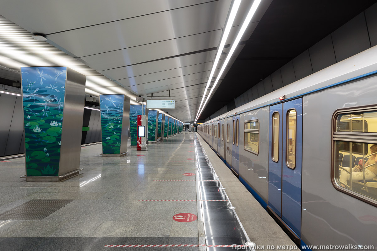 Фотография станции Озёрная (Солнцевская линия, Москва). Продольный вид вдоль края платформы. Для разнообразия — с поездом.