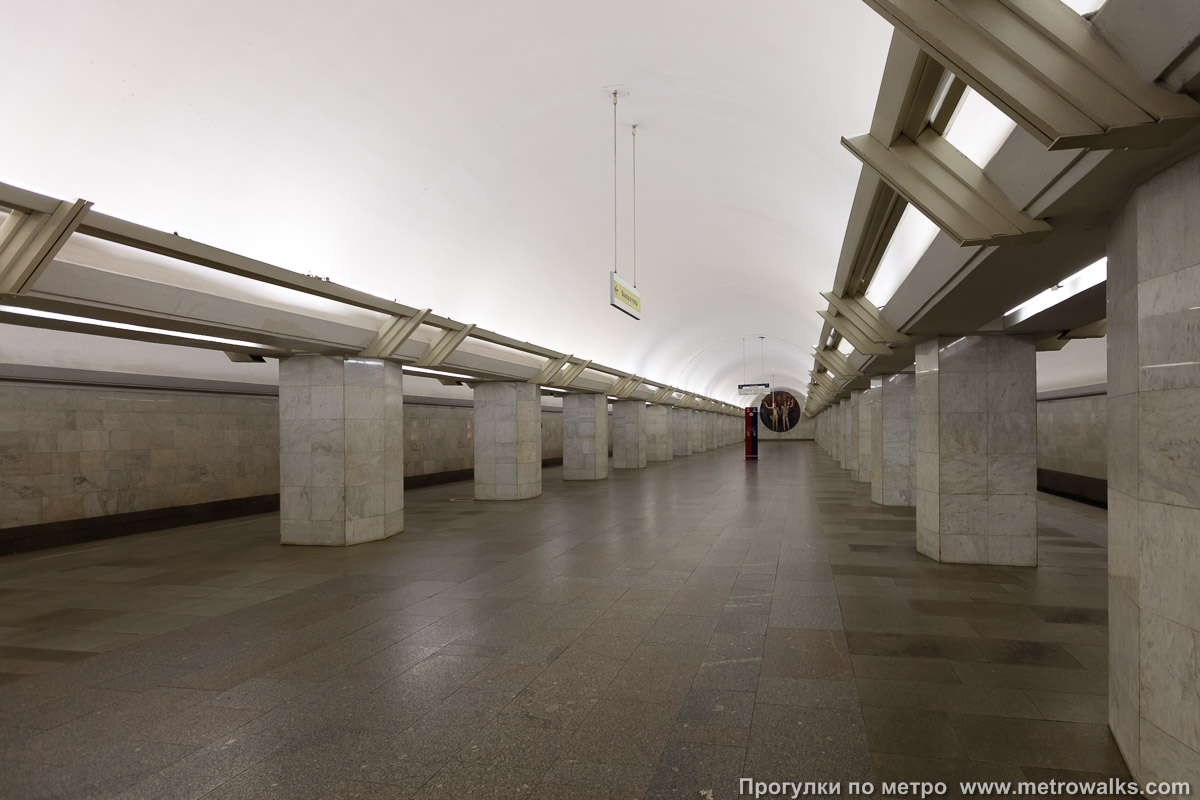 Фотография станции Полянка (Серпуховско-Тимирязевская линия, Москва). Вид по диагонали.