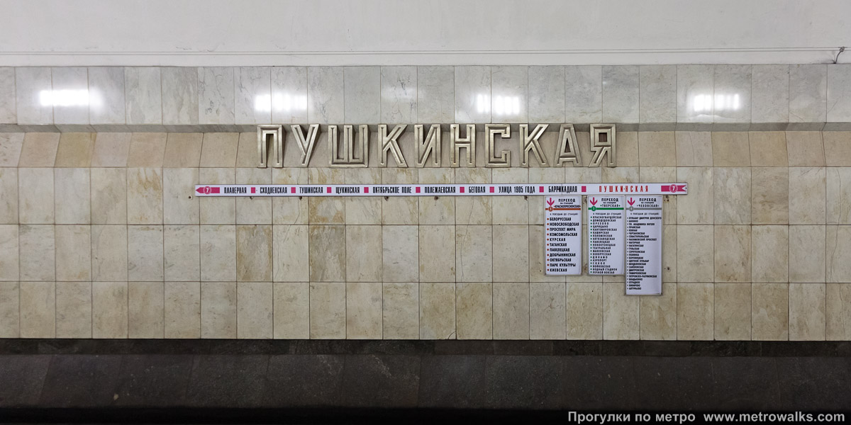 Фотография станции Пушкинская (Таганско-Краснопресненская линия, Москва). Название станции на путевой стене и схема линии.