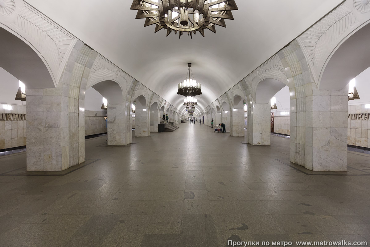 Фотография станции Пушкинская (Таганско-Краснопресненская линия, Москва). Продольный вид центрального зала.
