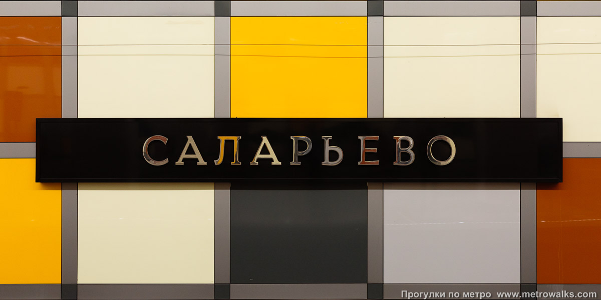 Фотография станции Саларьево (Сокольническая линия, Москва). Название станции на путевой стене крупным планом.