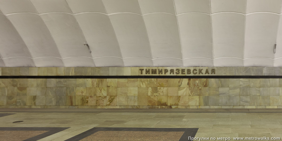 Фотография станции Тимирязевская (Серпуховско-Тимирязевская линия, Москва). Путевая стена.