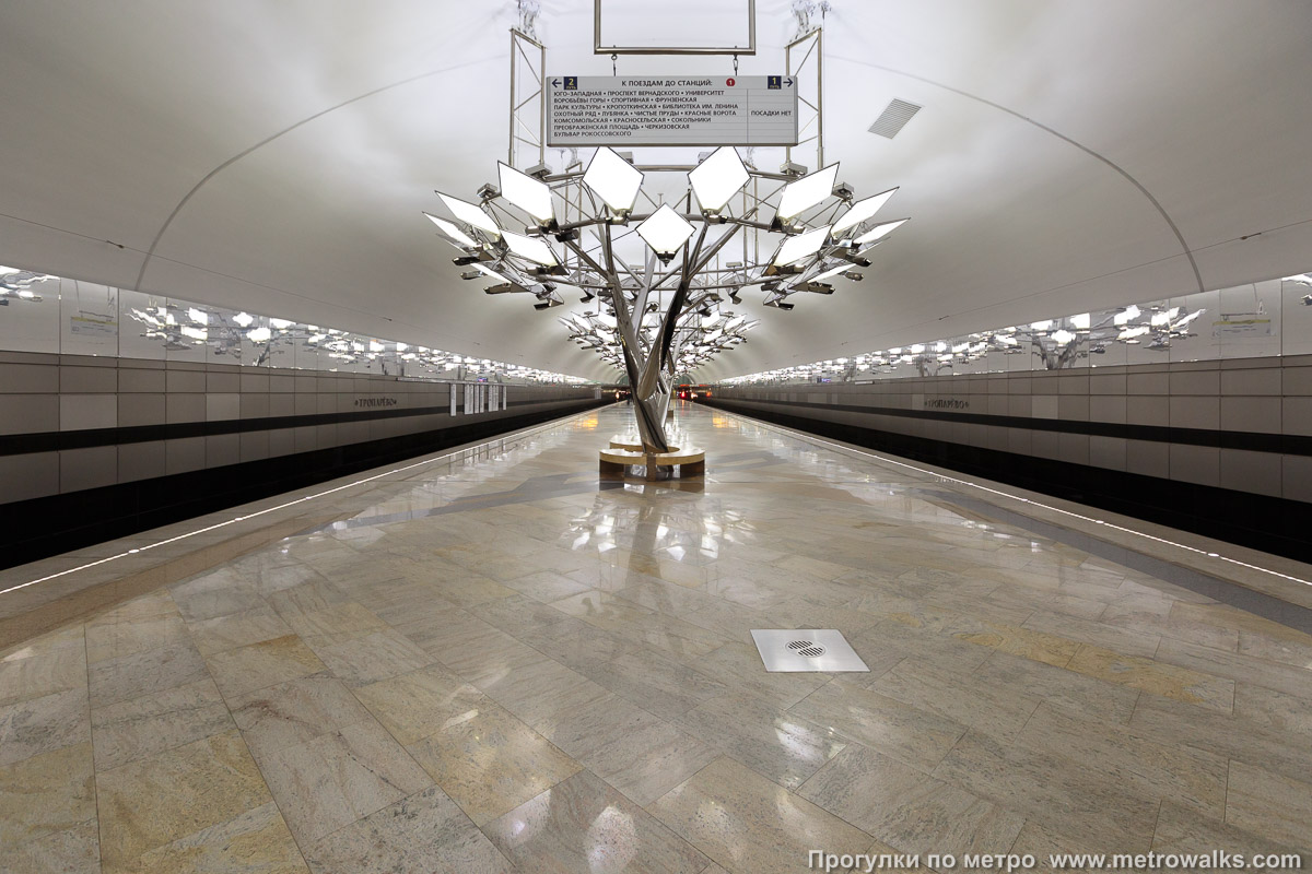 Фотография станции Тропарёво (Сокольническая линия, Москва). Продольный вид по оси станции.
